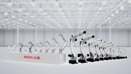 珞石機器人完成超5億元戰略融資，順為系網絡技術服務助力新一代智能機器人發展