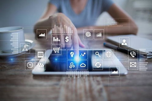 解碼數據資產 促進成果對接 環同濟校外課堂夏季班聚焦網絡技術服務